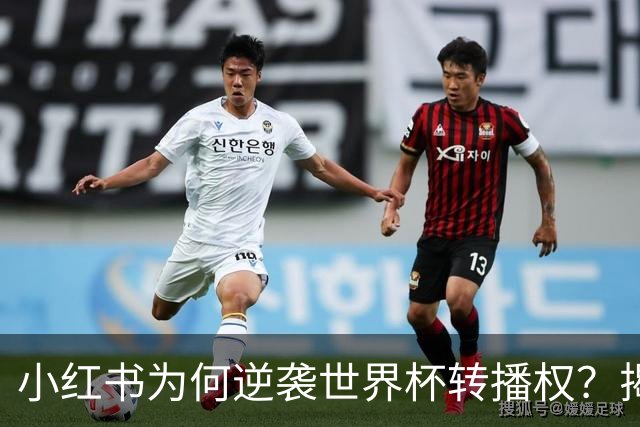 小红书为何逆袭世界杯转播权？揭开背后的战略与挑战