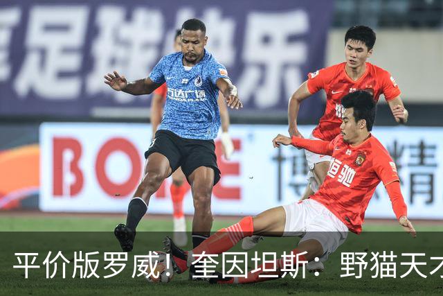 平价版罗威！奎因坦斯：野猫天才内线 存伤病隐患 罚球致敬米切罗