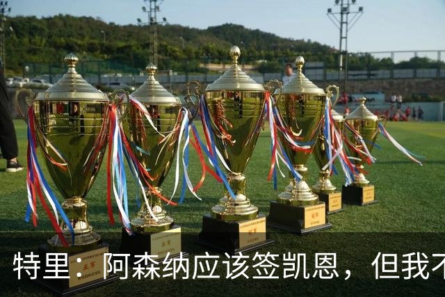 特里：阿森纳应该签凯恩，但我不确定有谁愿意去那这才是问题所在