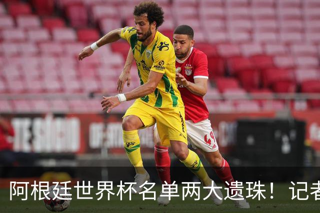 阿根廷世界杯名单两大遗珠！记者直言：阿库尼亚、塞内西落选意外
